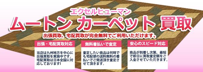 エクセルヒューマン ムートンカーペット | 買取ぞうさん