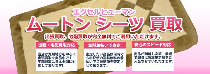エクセルヒューマン ムートンシーツ | 買取ぞうさん