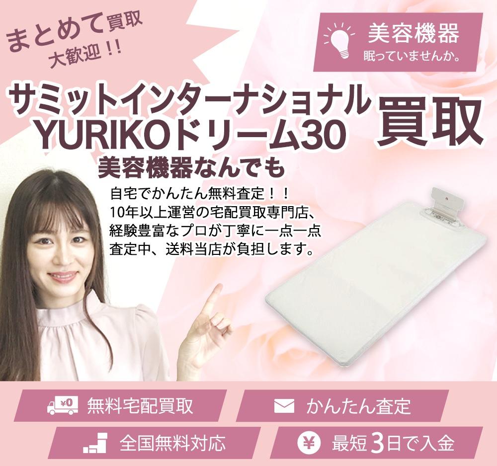 サミットインターナショナルYURIKOドリーム30 | 買取ぞうさん