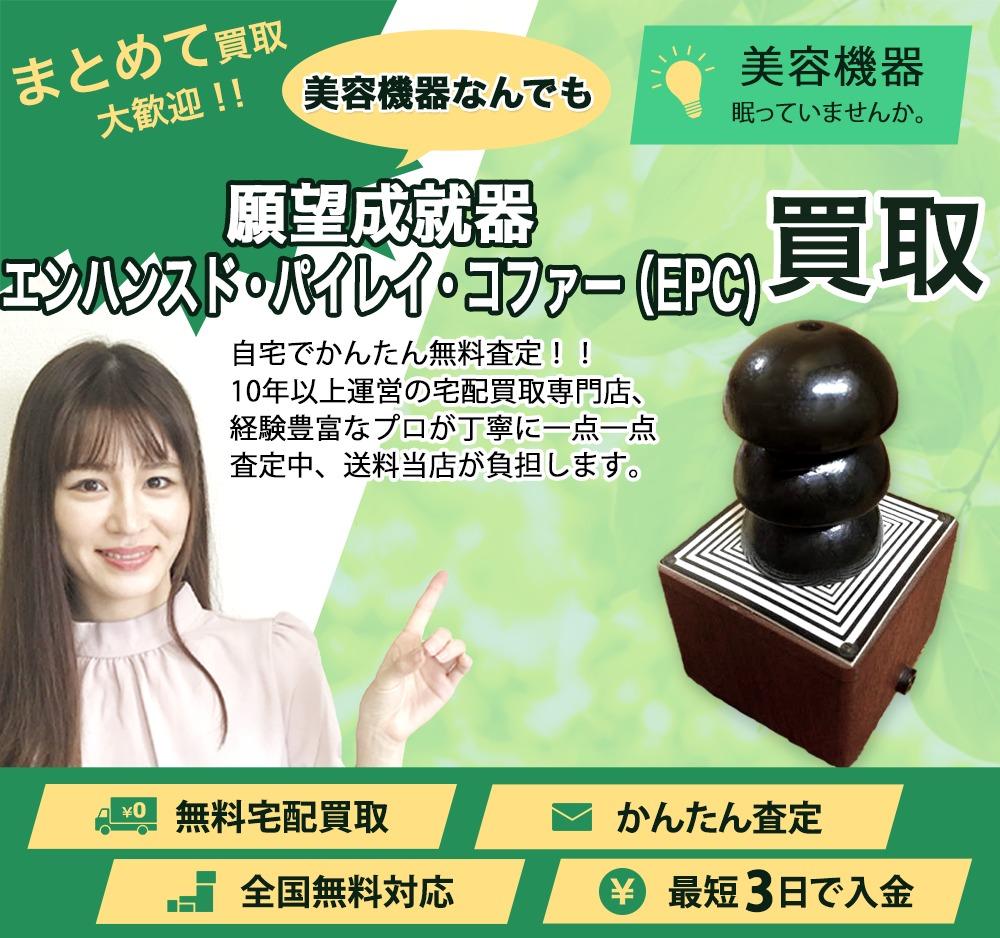 願望成就器 エンハンスド・パイレイ・コファー(EPC) | 買取ぞうさん